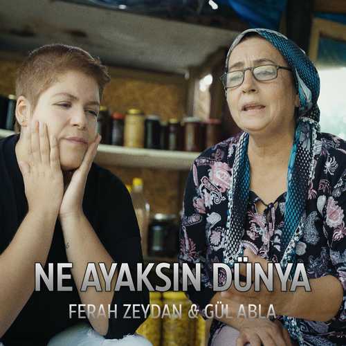 دانلود آهنگ ترکی جدید Ferah Zeydan به نام Ne Ayaksın Dünya