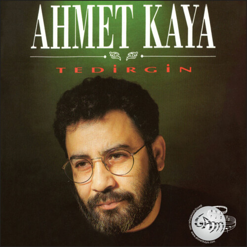 دانلود آلبوم ترکی جدید Ahmet Kaya به نام Tedirgin