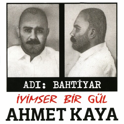 دانلود آلبوم ترکی جدید Ahmet Kaya به نام İyimser Bir Gül