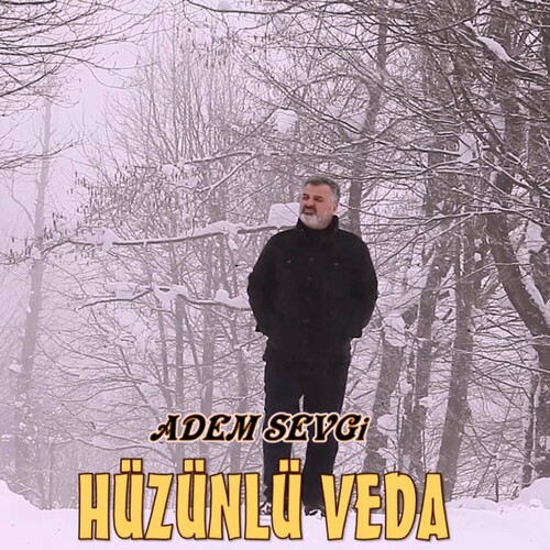 دانلود آهنگ ترکی جدید Adem Sevgi به نام Hüzünlü Veda