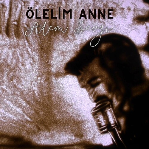 دانلود آهنگ ترکی جدید Adem Sevgi به نام Ölelim Anne