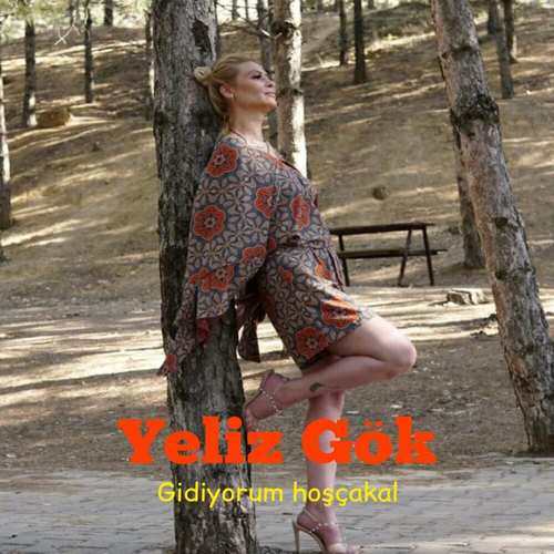 دانلود آهنگ ترکی جدید Yeliz Gök به نام Gidiyorum Hoşçakal