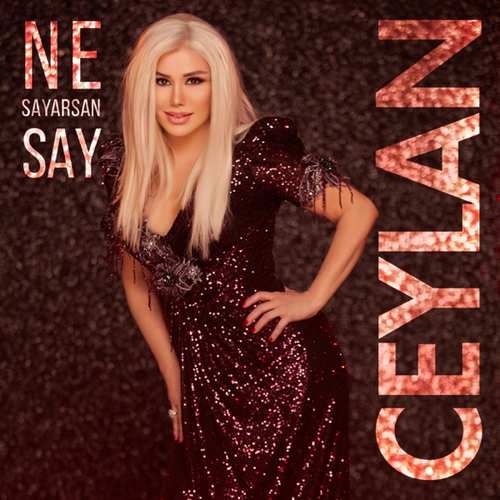 دانلود آهنگ ترکی جدید Ceylan به نام Ne Sayarsan Say