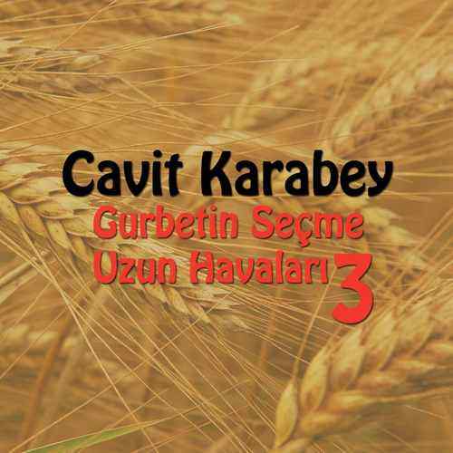 دانلود آلبوم ترکی جدید Cavit Karabey به نام Gurbetin Seçme Uzun Havaları, Vol. 3