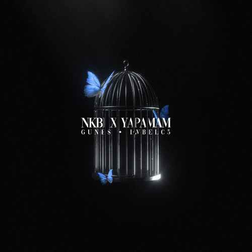 دانلود آهنگ ترکی جدید Lvbel C5 به نام NKBİ X YAPAMAM (Remix)