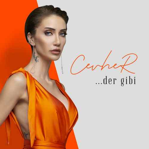 دانلود آهنگ ترکی جدید Cevher به نام Der Gibi