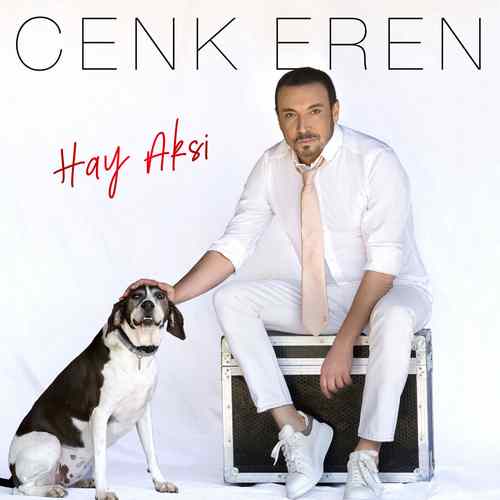 دانلود آهنگ ترکی جدید Cenk Eren به نام Hay Aks