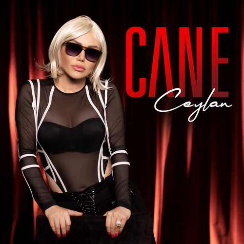 دانلود آهنگ ترکی جدید Ceylan جیلان به نام Cane جانه