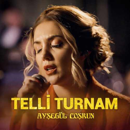 دانلود آهنگ ترکی جدید Ayşegül Coşkun به نام Telli Turnam (Akustik)
