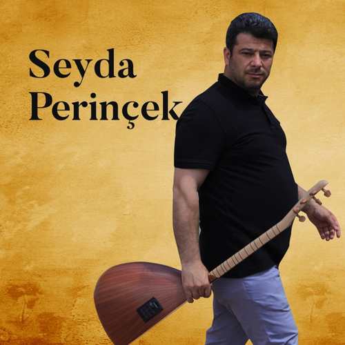 دانلود آهنگ ترکی جدید Seyda Perinçek به نام Şehîd Mazlûm Tekdağ