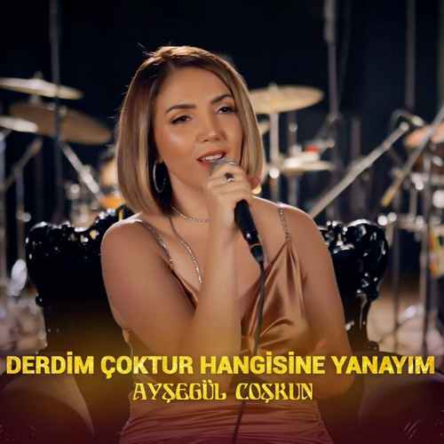 دانلود آهنگ ترکی جدید Ayşegül Coşkun به نام Derdim Çoktur Hangisine Yanayım (Akustik)