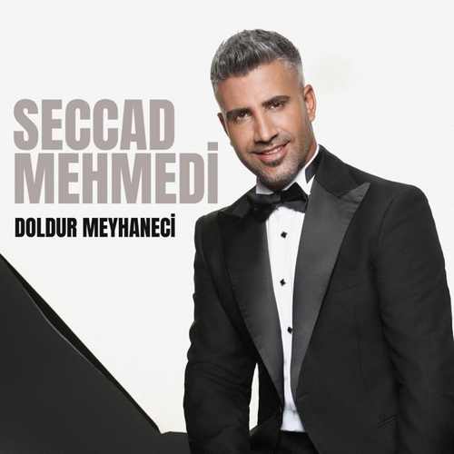 دانلود آهنگ ترکی جدید Seccad Mehmedi به نام Doldur Meyhaneci