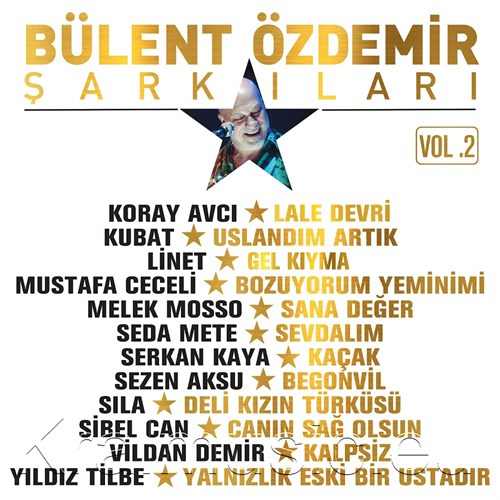 دانلود آلبوم ترکی جدید Çeşitli Sanatçılar به نام Bülent Özdemir Şarkıları Vol. 2