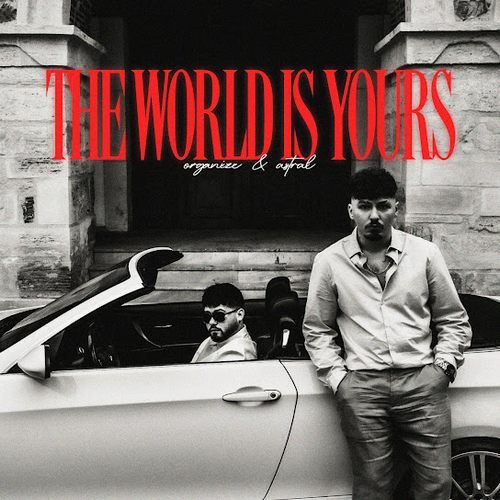 دانلود آلبوم ترکی جدید Organize به نام The World is Yours
