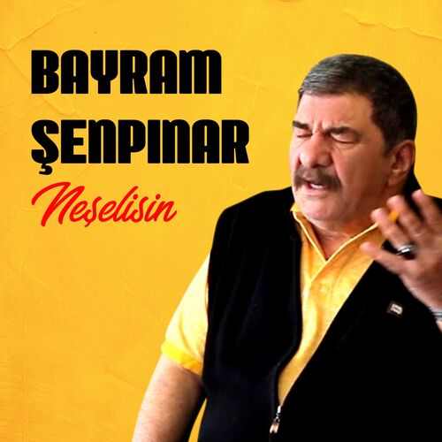 دانلود تمامی آهنگ ها و آلبوم های خواننده ترکیه ای Bayram Şenpınar (بایرام شنپینار) با لینک مستقیم بصورت کامل و یکجا