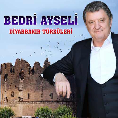 دانلود تمامی آهنگ ها و آلبوم های خواننده ترکیه ای Bedri Ayseli (بدری آیسلی) با لینک مستقیم بصورت کامل و یکجا