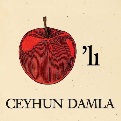 دانلود آهنگ ترکی جدید Ceyhun Damla به نام Elmalı